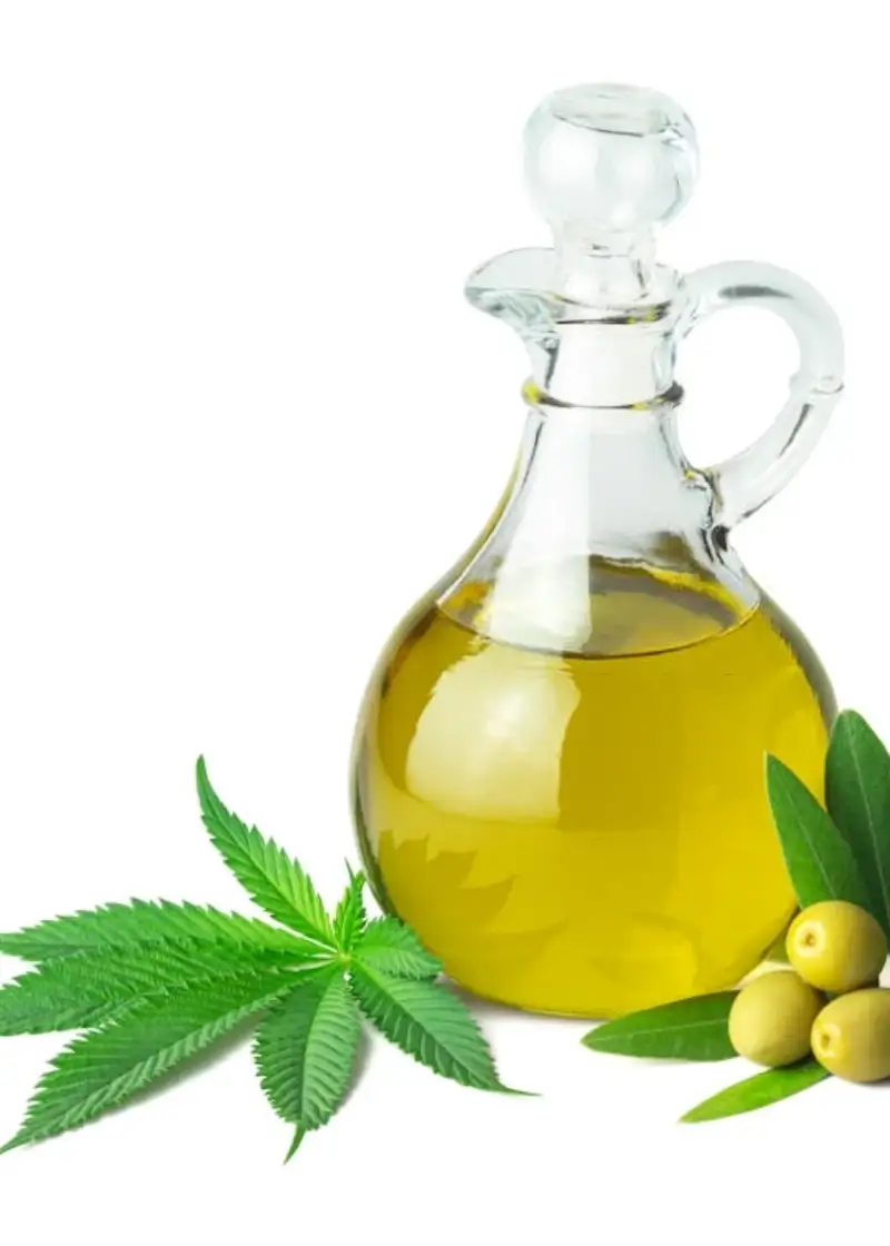 cooking cannabis olive oil