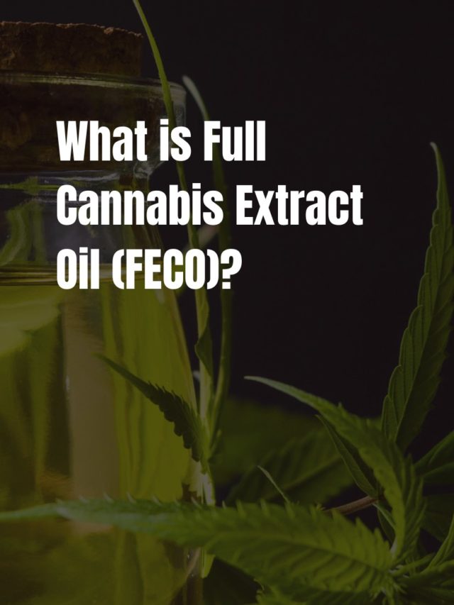 What is Full Cannabis Extract Oil (FECO)
